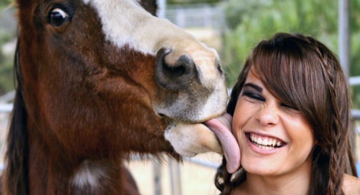 Zooxtaboo Com